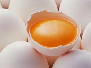 Φωτογραφία για Τα αυγά ενισχύουν την μνήμη