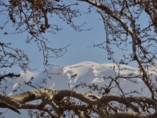 Φωτογραφία για Χιλιάδες χιλιόμετρα έχουν διανύσει οι ορειβάτες του κάμπου της Μεσαράς! [photos]