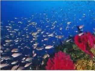 Φωτογραφία για Μεσόγειος SOS. Όχι στην καταστροφή των χημικών, στην παγκόσμια θαλάσσια πολιτιστική και περιβαλλοντική κοιτίδα