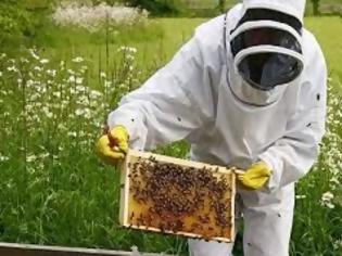 Φωτογραφία για Τι ισχύει και τι θα πληρώσουν Αγρότες - Μελισσοκόμοι με το νέο καθεστώς βιβλίων εσόδων - εξόδων