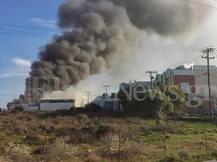 Φωτογραφία για Ρέθυμνο: Μεγάλη πυρκαγιά στην Creta Farms [photos+video]