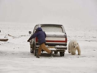 Φωτογραφία για Παίζοντας κρυφτό με μια αρκούδα! Αλήθεια ποιος λέτε να κέρδισε; [photos]