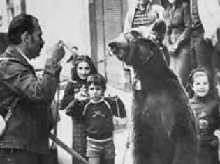 Φωτογραφία για Εύβοια: Η εικόνα της αλυσοδεμένης αρκούδας να χορεύει ξύπνησε άσχημες μνήμες από το παρελθόν