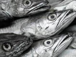 Φωτογραφία για Υπεγράφη από 33 χώρες η Κοινή Δήλωση για την αειφορική αλιεία