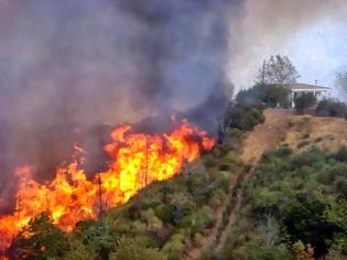 Φωτογραφία για Φωτιά ξέσπασε στο Νεοχώρι Μαγνησίας