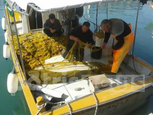 Φωτογραφία για Πήγε για ψάρεμα και έπιασε καρχαροειδές