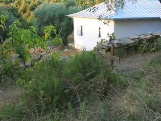 Φωτογραφία για 4483 - Χωρίς το δενδρολίβανο ο τάφος του παπα Τύχωνα