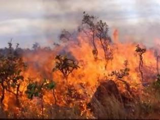 Φωτογραφία για Κάηκαν κτήματα στην Ζαγορά Πηλίου