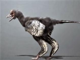 Φωτογραφία για Ανακάλυψαν δεινόσαυρο με ράμφος πουλιού και κεφάλι κοτόπουλου