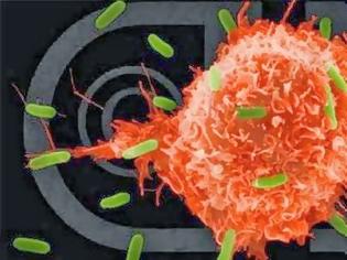 Φωτογραφία για Νέα θεραπεία «ανατινάζει» τα καρκινικά κύτταρα