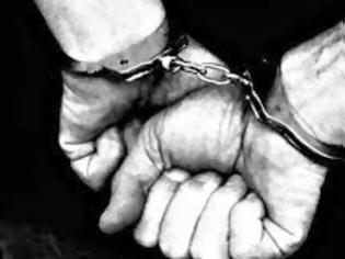 Φωτογραφία για 45χρονος συνελήφθη για καλλιέργεια δενδρυλλίων χασίς