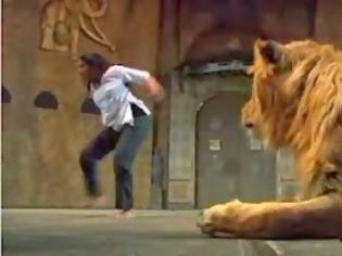 Φωτογραφία για Τι το 'θελες το καράτε μπροστά στο λιοντάρι; [video]
