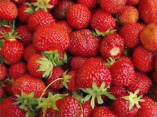 Φωτογραφία για Τι πρέπει να γνωρίζουμε για τις φράουλες
