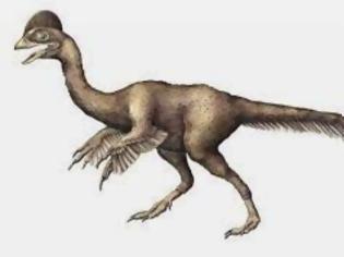 Φωτογραφία για Δεινόσαυρος κοτόπουλο από την κόλαση