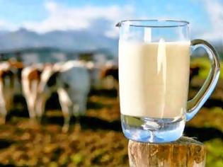 Φωτογραφία για Δείτε ΑΝΑΛΥΤΙΚΑ τι προβλέπει η συμφωνία για το γάλα