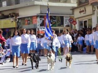 Φωτογραφία για Η φωτογραφία από την παρέλαση της 25ης Μαρτίου που κάνει το γύρο των social media