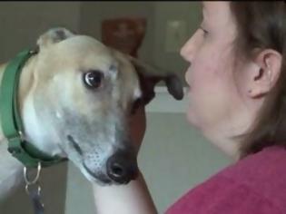 Φωτογραφία για ΗΠΑ: Σκύλος έσωσε την αφεντικίνα του από διαρροή αερίου