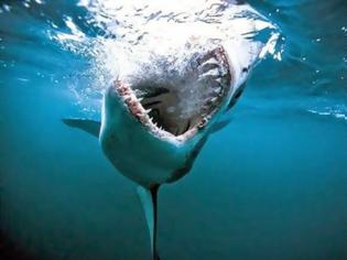 Φωτογραφία για Γυναίκα στην Αυστραλία δέχθηκε θανάσιμη επίθεση από καρχαρία