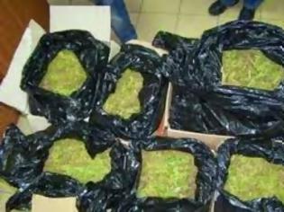 Φωτογραφία για 2 τόνοι αλβανικής μαριχουάνας από την Κέρκυρα στην Σικελία