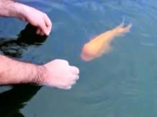 Φωτογραφία για Ψάρι παίζει με τον ιδιοκτήτη του! [video]