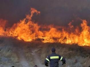 Φωτογραφία για Δύσκολο καλοκαίρι για τις δασικές πυρκαγιές