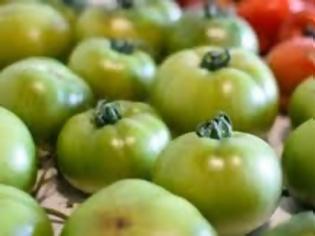 Φωτογραφία για Πράσινες ντομάτες για δυνατούς μυς