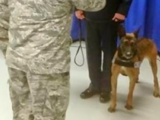 Φωτογραφία για Έδωσαν στρατιωτικό μετάλλιο σε... σκύλο στις ΗΠΑ [Photo]
