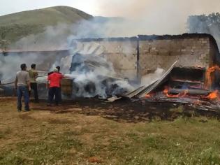 Φωτογραφία για Ηλεία: Κάηκε ο στάβλος αλλά σώθηκαν τα ζώα!