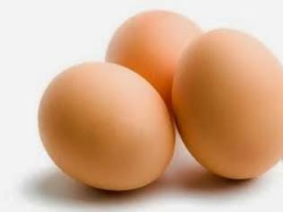 Φωτογραφία για Το θαυματουργό αυγό