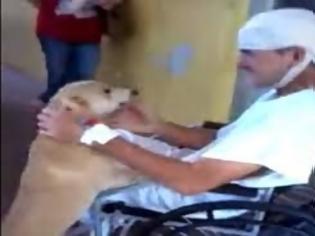 Φωτογραφία για Απίστευτη ιστορία πίστης και αφοσίωσης ενός σκύλου! [video]