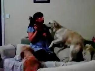 Φωτογραφία για Μάνα μάλωνε το παιδί της και τα σκυλιά το προστάτεψαν! [video]