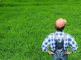 Φωτογραφία για «Μποναμάς» 55 εκατ. ευρώ στους αγρότες πριν το Πάσχα