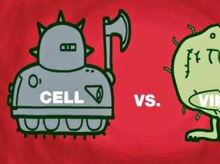 Φωτογραφία για Κύτταρα εναντίον Ιοί: Η μάχη για την υγεία μας σε ένα εξαιρετικό animation [video]