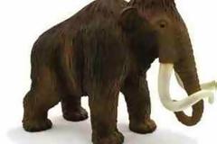 Μαμούθ και ελέφαντες θα κατασκευάσουν παιδιά του δημοτικού στη Σιάτιστα