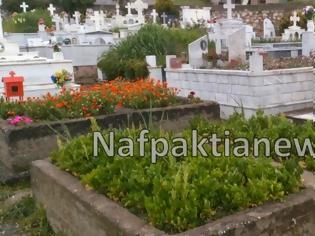 Φωτογραφία για Μποστάνι σε νεκροταφείο της Ναυπάκτου…