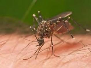 Φωτογραφία για Αιτωλοακαρνανία: Μέτρα για την καταπολέμηση των κουνουπιών