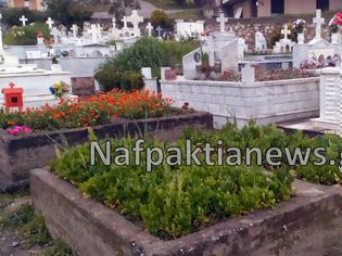 Φωτογραφία για Απίστευτο: Έσπειραν σπανάκι και σκόρδα σε νεκροταφείο της Ναυπάκτου!
