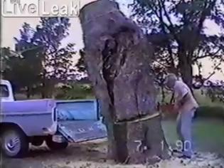 Φωτογραφία για Η κοπή ενός δέντρου κατευθείαν στην καρότσα του φάνηκε καλή ιδέα! - Σίγουρα δεν περίμενε αυτό που συνέβη  [video]