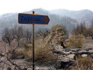 Φωτογραφία για Συγκλονίζουν οι καταθέσεις των μαρτύρων για τις φονικές πυρκαγιές στην Ηλεία