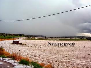 Φωτογραφία για Χιόνισε'' στο Νεοχώρι Βοιωτίας... Άσπρισαν τα πάντα από την σφοδρή χαλαζόπτωση!