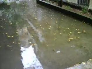 Φωτογραφία για Μαγνησία: 2 περιστατικά πλημμύρας λογω... βροχόπτωσης