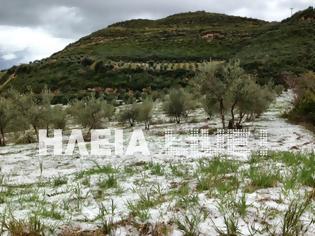 Φωτογραφία για Μεγάλες καταστροφές από χαλαζόπτωση - Δεύτερη φορά χτυπήθηκαν σταφίδες και ελιές σε όλο το Δήμο Πύργου