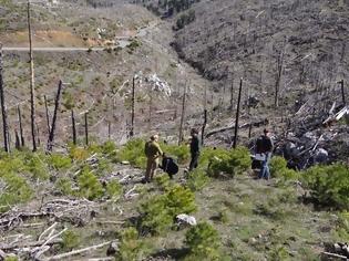 Φωτογραφία για Αποκατάσταση των δασών Pinus nigra στον Πάρνωνα