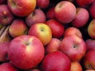 Φωτογραφία για Δέσμευση μήλων προέλευσης Βελγίου