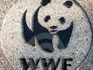 Φωτογραφία για WWF: Εγκληματικό το νομοσχέδιο του Υπουργείου Οικονομικών για τις ακτές της χώρας