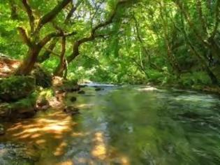 Φωτογραφία για Απαγόρευση αλιείας σε όλα τα ποτάμια της Ηπείρου έως 31 Μαΐου