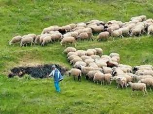 Φωτογραφία για Συνελήφθη κτηνοτρόφος στην Ελασσόνα