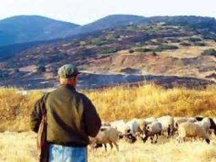 Φωτογραφία για Μειώνεται το ζωϊκό κεφάλαιο, φθίνει η κτηνοτροφία