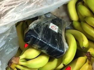 Φωτογραφία για Έκρυψαν σε κιβώτιο με μπανάνες 16 κιλά κοκαΐνη