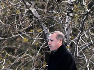 Φωτογραφία για Τουρκία: Έξαλλος ο Ερντογάν με τον πρόεδρο των Δικηγορικών Συλλόγων Τουρκίας